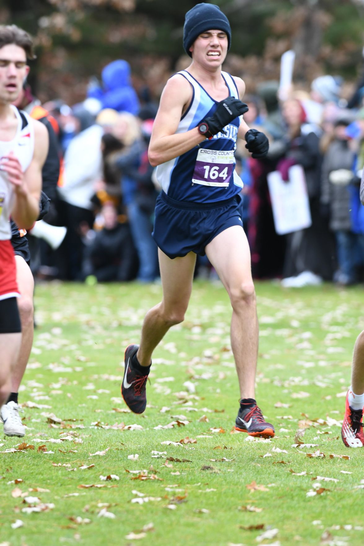 WIAA state cross country photo: August Gresens, Lakeside Lutheran